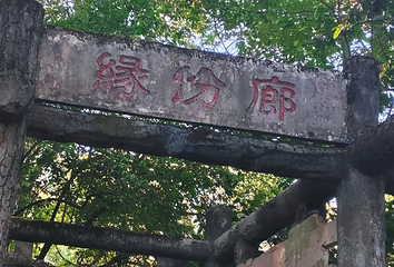 歌乐山国家森林公园第 88 张图片