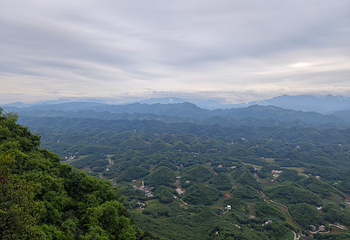 蜀南竹海第 59 张图片