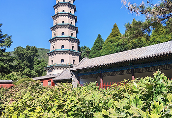 晋祠博物馆第 173 张图片