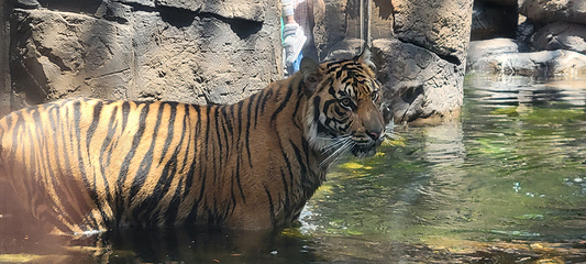 丹佛市区水族馆第 3 张图片