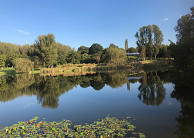 Nirox Sculpture Park