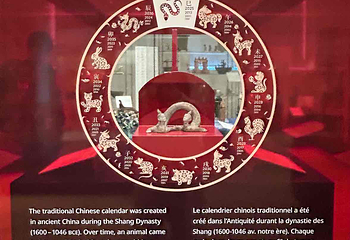 皇家安大略博物馆第 33 张图片