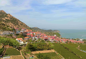 崂山风景区第 222 张图片