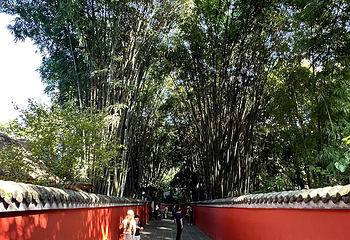 杜甫草堂第 397 张图片