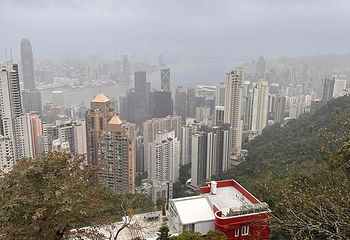 太平山顶第 264 张图片