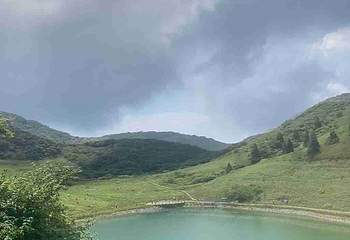 金佛山第 114 张图片