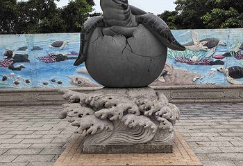 海龟湾第 23 张图片