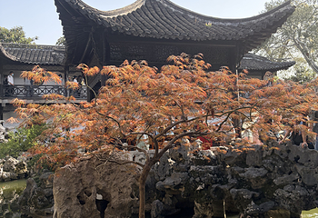 何园第 71 张图片