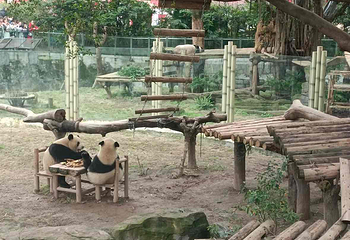 重庆动物园第 172 张图片