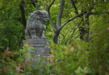 广富林文化遗址第 124 张图片