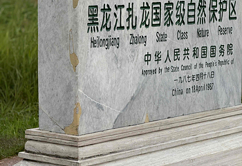 扎龙生态旅游区第 42 张图片