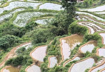 云和梯田景区第 80 张图片