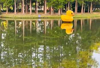 世纪公园第 80 张图片