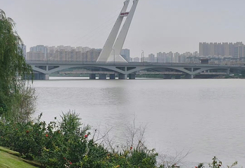 西安浐灞国家湿地公园第 62 张图片