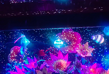 永利扒房第 48 张图片