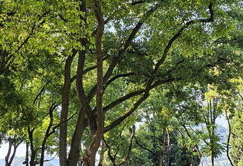 滨江公园第 84 张图片