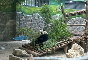 黔灵山公园第 26 张图片