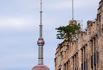 南京路步行街第 46 张图片