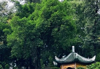 鹅岭公园第 145 张图片