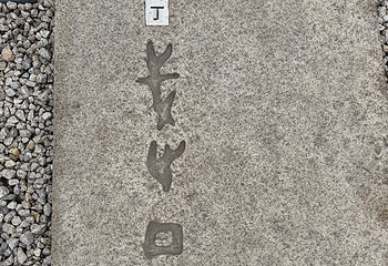 殷墟第 75 张图片