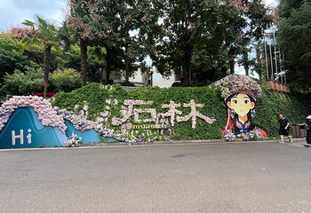 石林风景区第 141 张图片