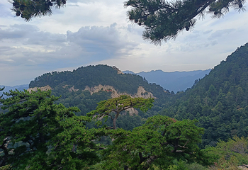 华山第 170 张图片