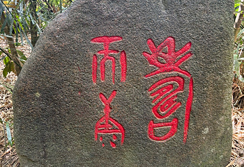 呀诺达热带雨林第 168 张图片