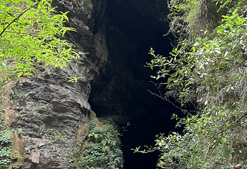 张家界大峡谷第 127 张图片