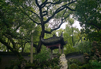 天一阁博物院第 282 张图片