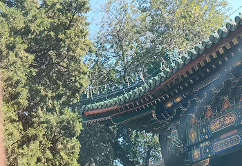 恭王府第 213 张图片