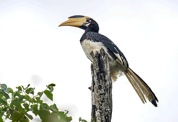 维勒珀图国家公园第 12 张图片