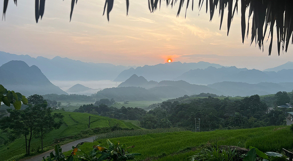 云龙湿地自然保护区