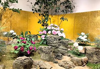 由志园第 16 张图片