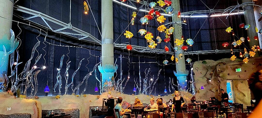 丹佛市区水族馆第 2 张图片