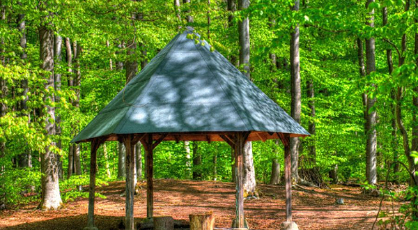 法兰克福城市森林