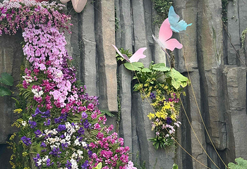 上海温室花园第 62 张图片