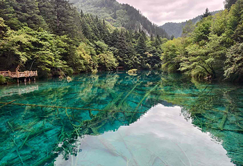 九寨沟风景区第 336 张图片