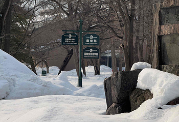 北海道大学第 40 张图片