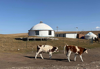 红石崖国家生态公园第 11 张图片