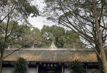 杜甫草堂第 239 张图片