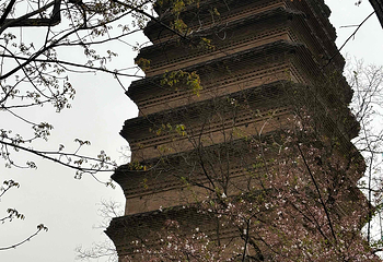 小雁塔遗址公园第 41 张图片