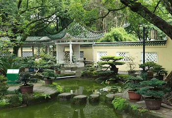 鹅岭公园第 102 张图片