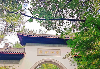 灵隐飞来峰景区第 21 张图片