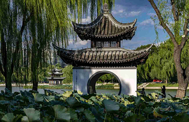 陶然亭公园第 22 张图片