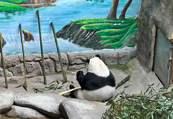西宁野生动物园第 20 张图片