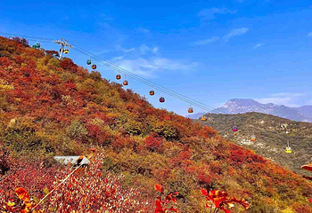 坡峰岭第 40 张图片