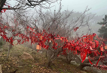 泰山风景区第 129 张图片