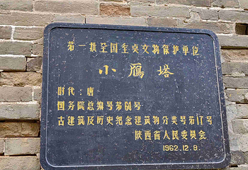 小雁塔遗址公园第 86 张图片
