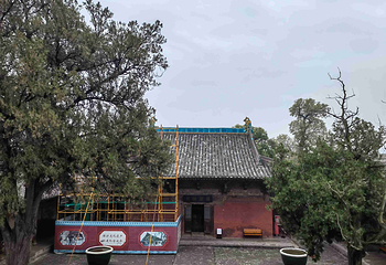 镇国寺第 55 张图片