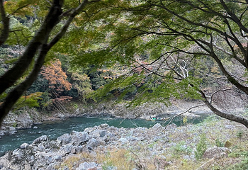 岚山嵯峨野观光小火车第 32 张图片